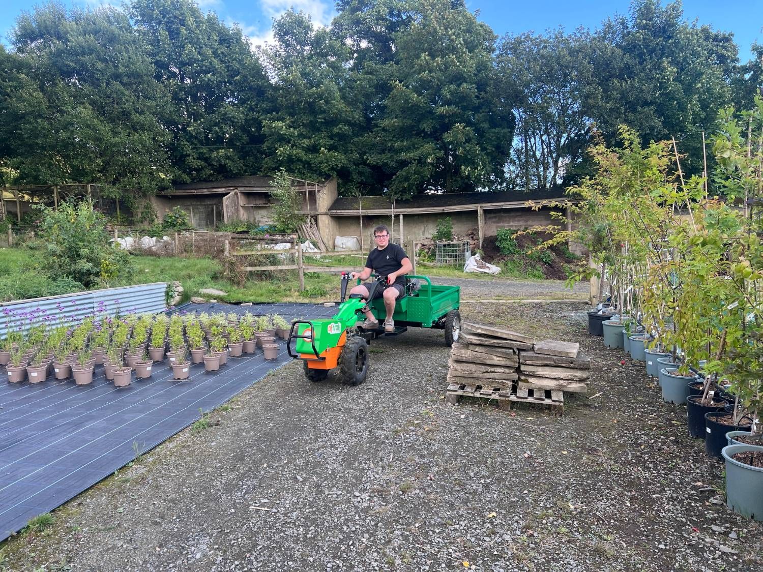 Man seated on the drawbar seat of a green tipping trailer towed by the Aftrak tractor along a gravel path through the nursery, rows of potted plants one side and potted trees the other