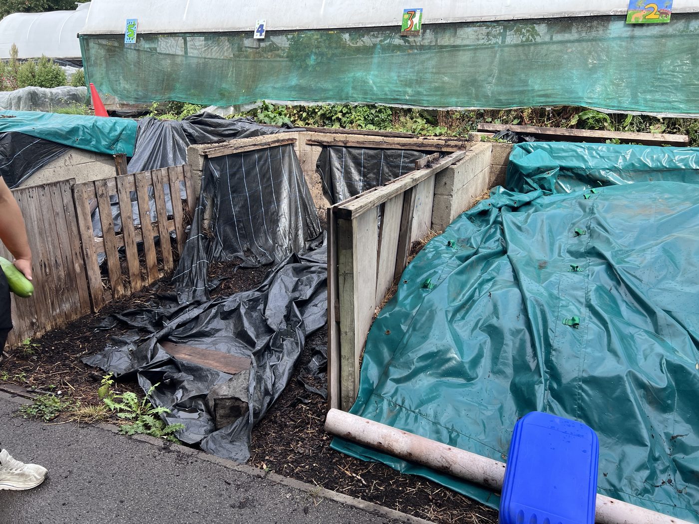Row of timber and block compost bays under sheeting, beside a polytunnel