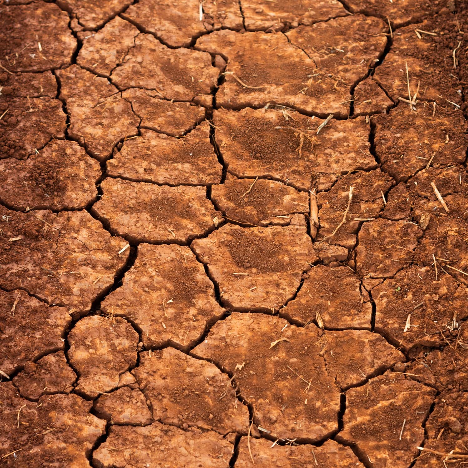 Dry red soil cracked into plates