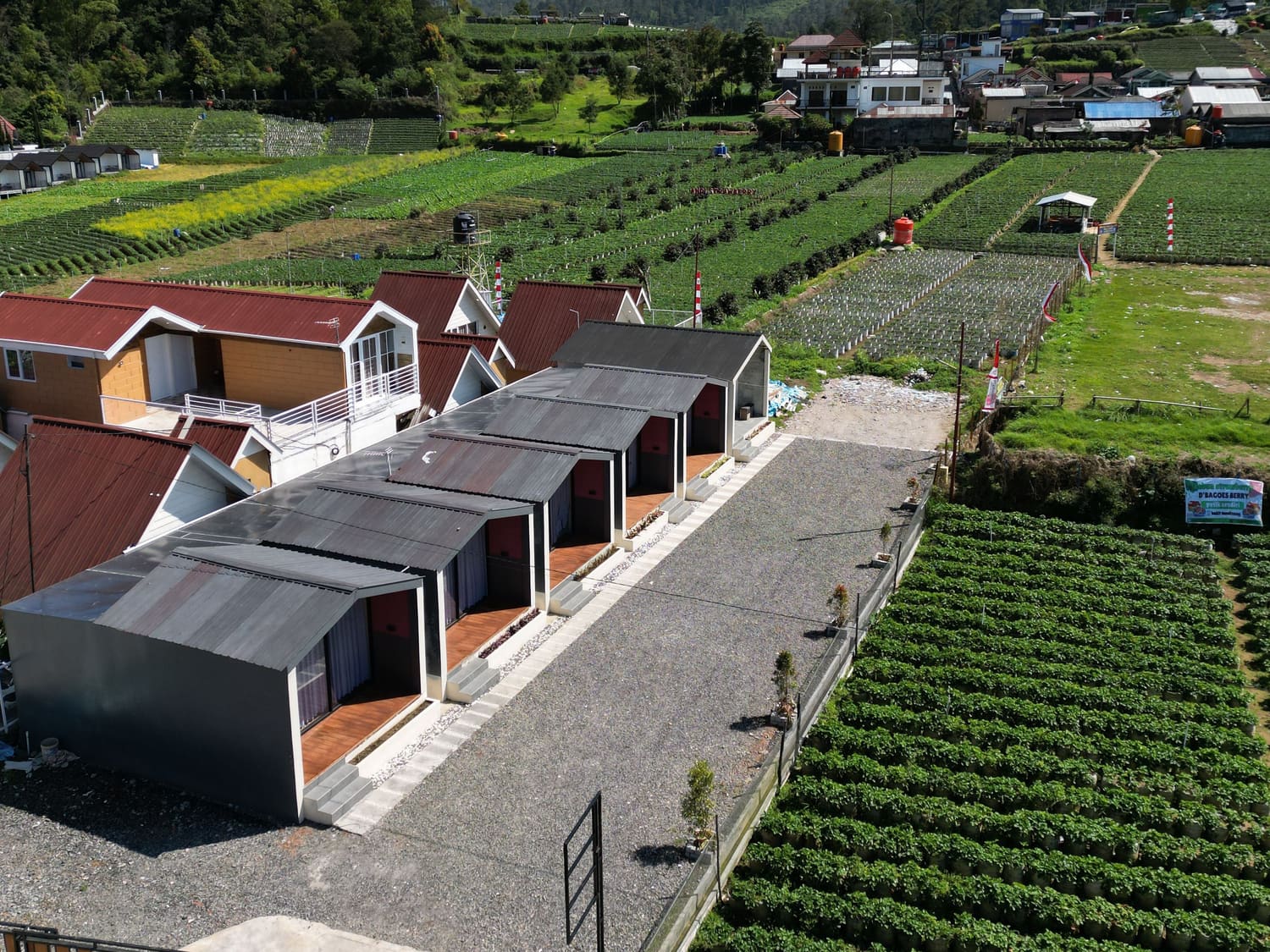 Small holdings and houses side by side on a terraced hillside, crop rows running up to the buildings